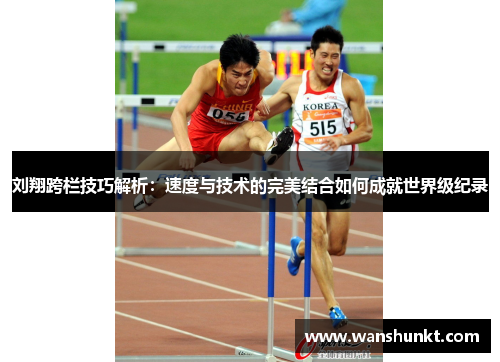 刘翔跨栏技巧解析：速度与技术的完美结合如何成就世界级纪录