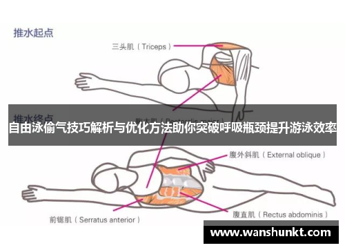 自由泳偷气技巧解析与优化方法助你突破呼吸瓶颈提升游泳效率