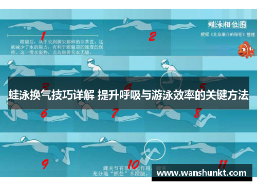 蛙泳换气技巧详解 提升呼吸与游泳效率的关键方法